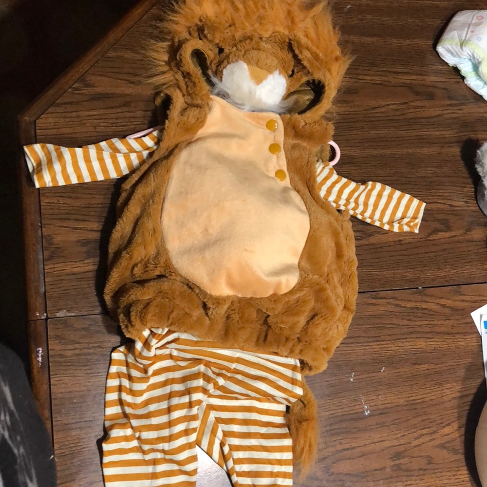 Lion costume